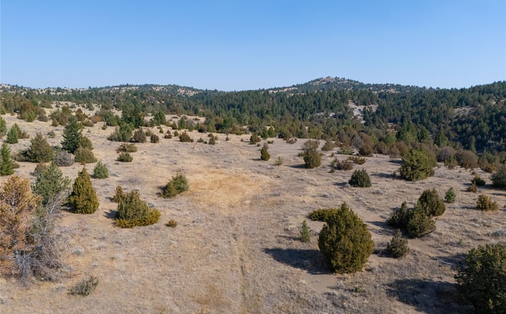 Pictures of Land property located at NHN Trails End Drive, Anaconda, MT 59711 for sales - image #1