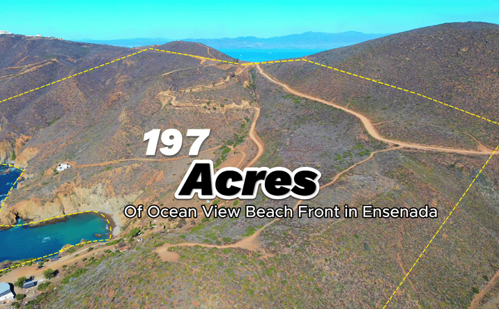 Pictures of Multifamily, Retail, Special Purpose property located at La Joya, Ensenada, MX 22790 for sales - image #1