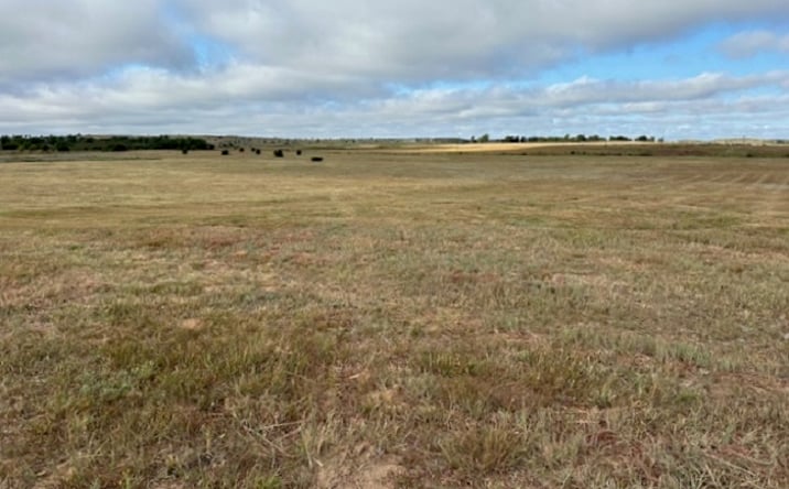 Pictures of Land property located at County Road 202 & County Road 43, Woodward, OK, USA, Woodward, OK 73801 for sales - image #1
