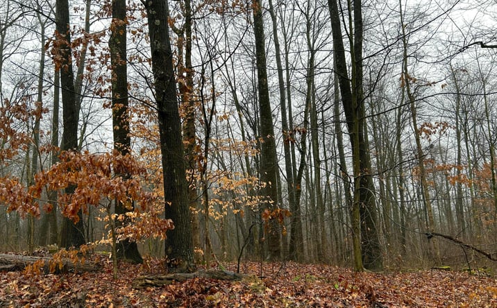 Pictures of Land property located at 0 Staats Road, Howard, OH 43028 for sales - image #1