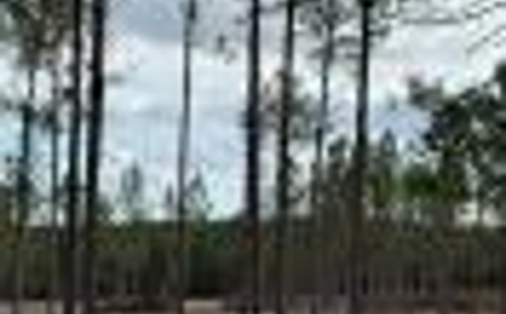 Pictures of Land property located at 0/Lot 43 Cooks Bridge, Aiken, SC 29805 for sales - image #1