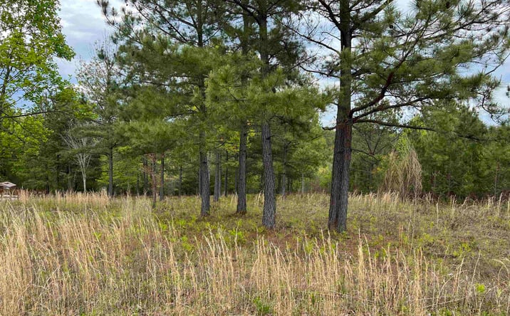 Pictures of Land property located at LOT 65 Village Loop, Blairsville, GA 30512 for sales - image #1