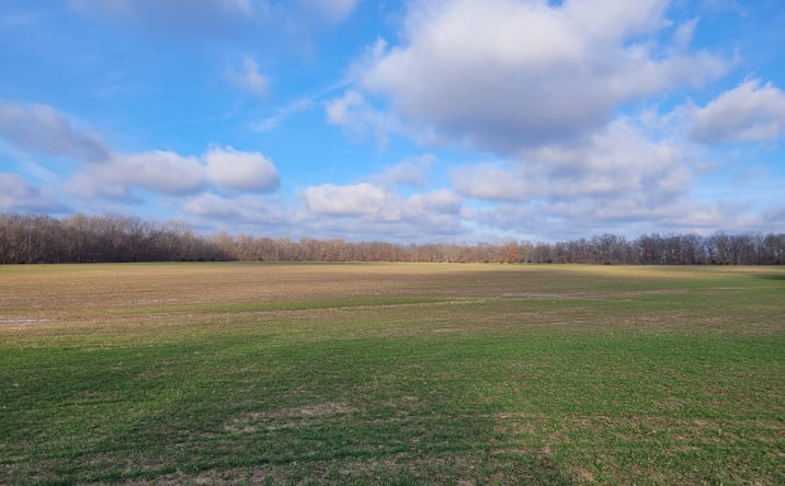 Pictures of Land property located at Bales Rd, Middletown, MO 63359 for sales - image #1