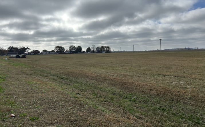 Pictures of Land property located at 13.50 acres Highway 463, Bay, AR 72411 for sales - image #1