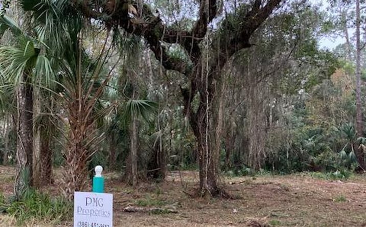 Pictures of Land property located at 0 Shell Harbor Road, Pierson, FL 32180 for sales - image #1