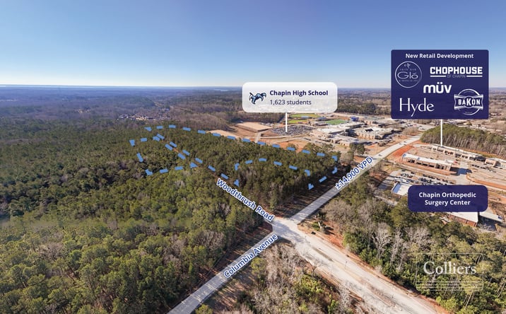 Pictures of Land, Mixed Use property located at Woodthrush Rd, Chapin, SC 29036 for sales - image #1