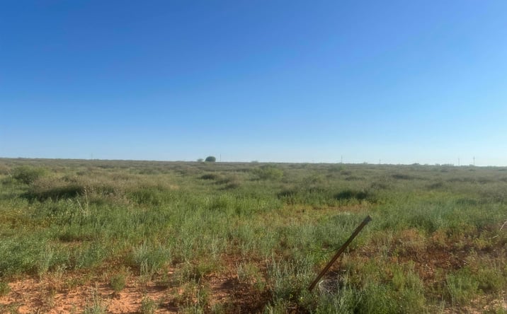 Pictures of Land property located at 1037 S Rrd O, Portales, NM 88130 for sales - image #1