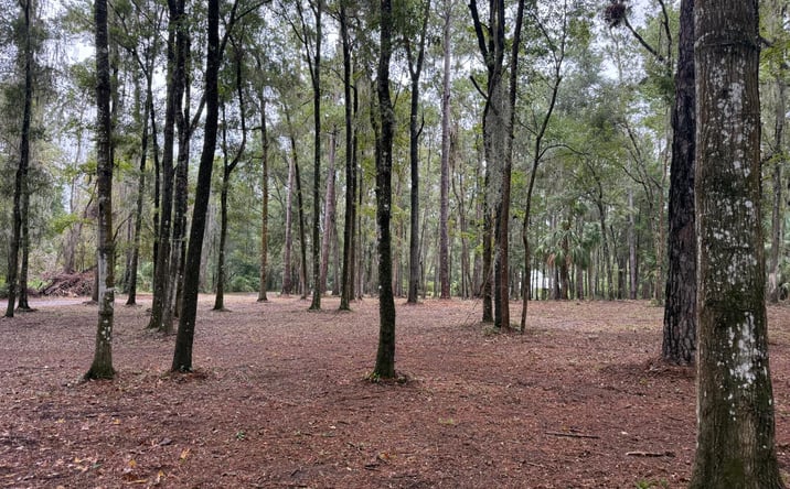 Pictures of Land property located at SE 40th Ave, Belleview, FL 34420 for sales - image #1