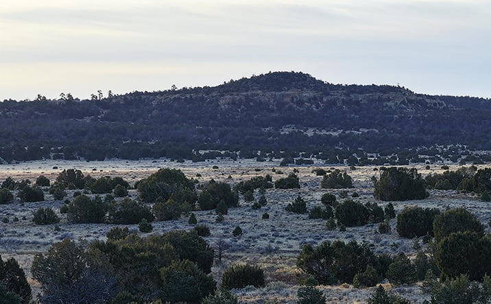 Pictures of Land, Special Purpose property located at 000 Indian Service Rt. 113, Ramah, NM 87321 for sales - image #1