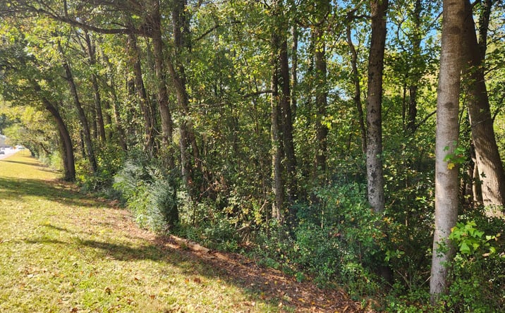 Pictures of Land property located at Bullsboro Dr, Newnan, GA 30265 for sales - image #1