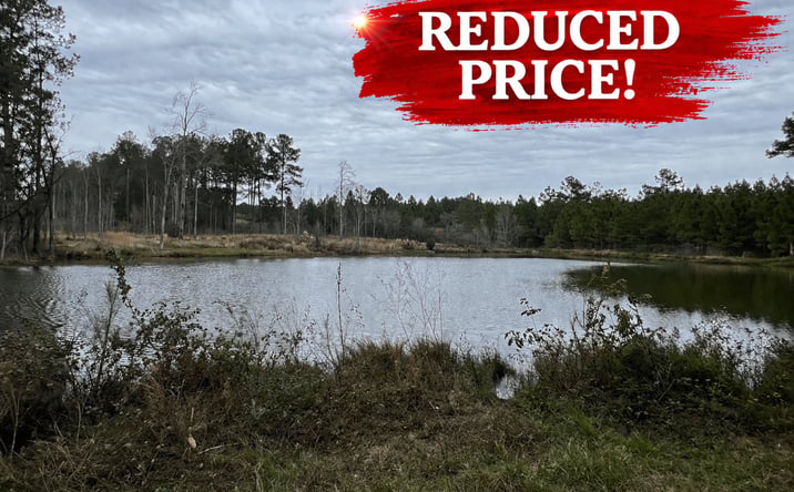 Pictures of Land property located at Lower River Rd, Blakely, GA 39823 for sales - image #1