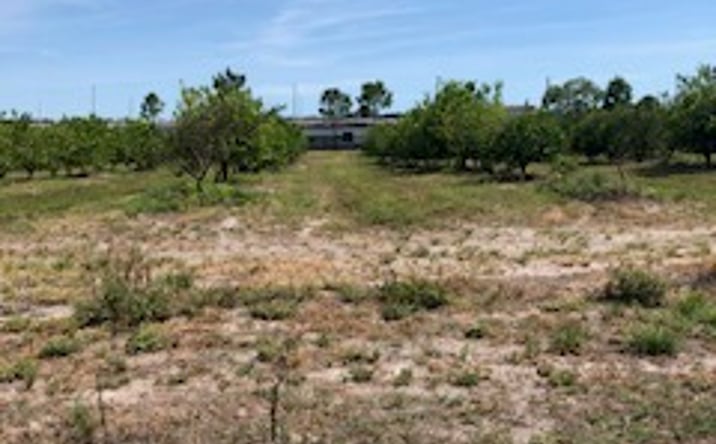 Pictures of Land property located at 2712 26th Ave E, Bradenton, FL 34208 for sales - image #1