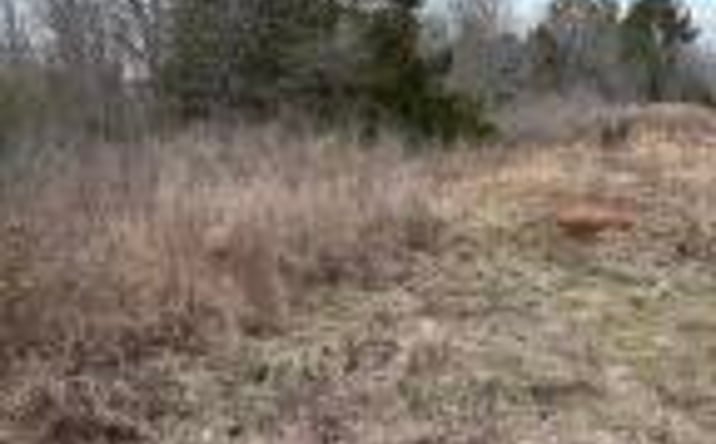 Pictures of Land property located at Tbd Meeting Street Road Road, Edgefield, SC 29824 for sales - image #1