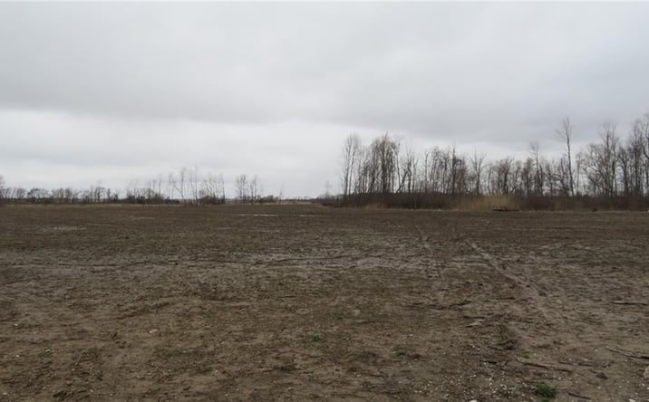 Pictures of Land property located at 00 E Co Rd 350 S Road, Crawfordsville, IN 47933 for sales - image #1