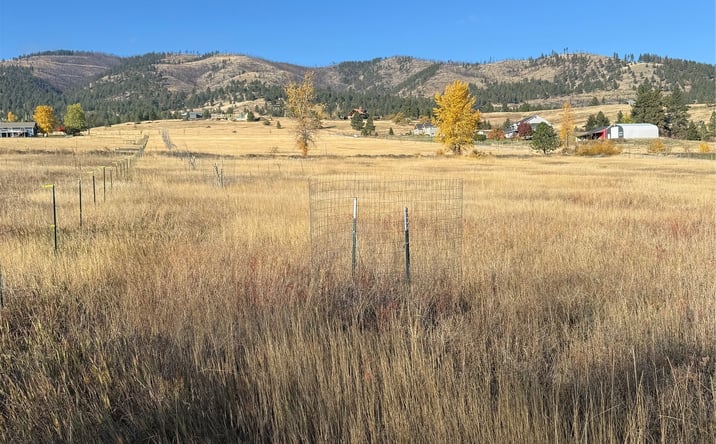 Pictures of Land property located at 16350 Queen Anne Lane Lane Rowan Street  and Queen Anne, Florence, MT 59833 for sales - image #1