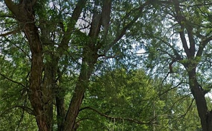 Pictures of Land, Multifamily property located at 203 S 6th Street, Savannah, MO 64485 for sales - image #1