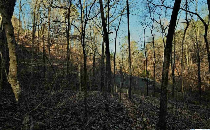 Pictures of Land property located at 5 northwood trail, Gadsden, AL 35901 for sales - image #1