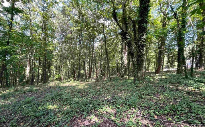 Pictures of Land property located at 11 camille circle, Gadsden, AL 35901 for sales - image #1