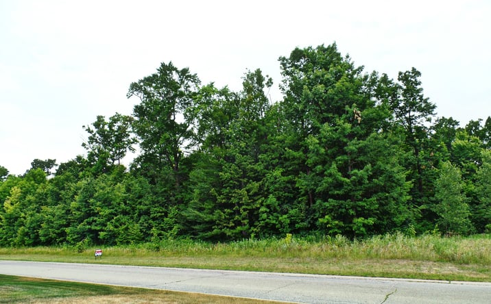Pictures of Land property located at Forest Gate Ct, Grand Blanc, MI 48439 for sales - image #1
