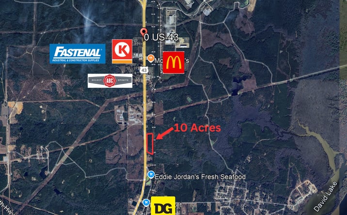 Pictures of Land property located at 20100 US-43, Mount Vernon, AL 36560 for sales - image #1