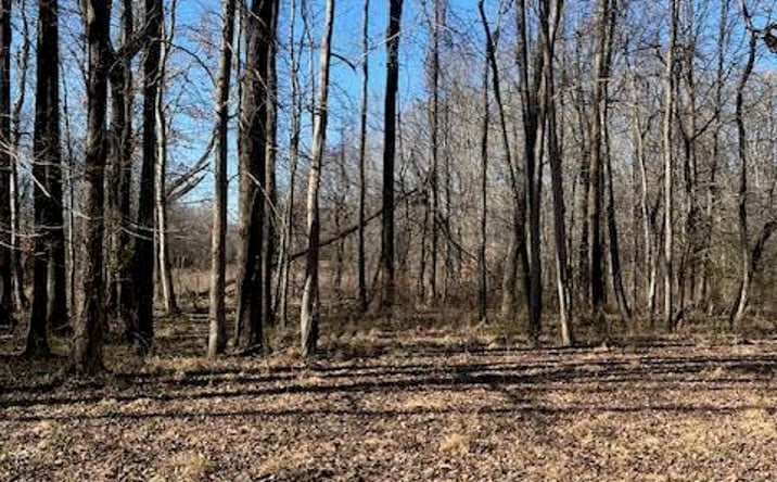 Pictures of Land, Multifamily, Special Purpose property located at 0 Sloan Road, Springville, TN 38256 for sales - image #1