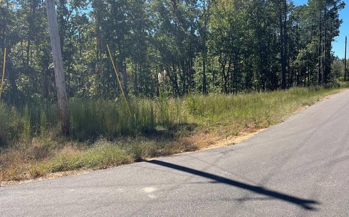 Pictures of Land property located at 0 Beach Bluff Ln (Lot 25), Huntingdon, TN 38344 for sales - image #1