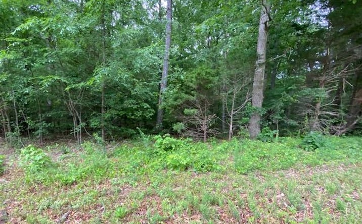 Pictures of Land property located at 0 Red Bud Circle, Big Sandy, TN 38221 for sales - image #1