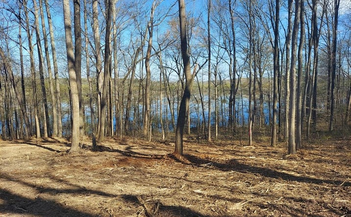 Pictures of Land property located at 0 Elkhorn, Springville, TN 38256 for sales - image #1