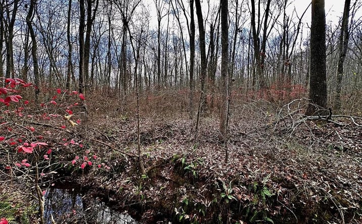Pictures of Land property located at 0 Rice Lane, Springville, TN 38256 for sales - image #1