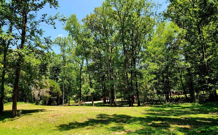 Pictures of Land property located at 00 Poplar Cove, Huntingdon, TN 38344 for sales - image #1