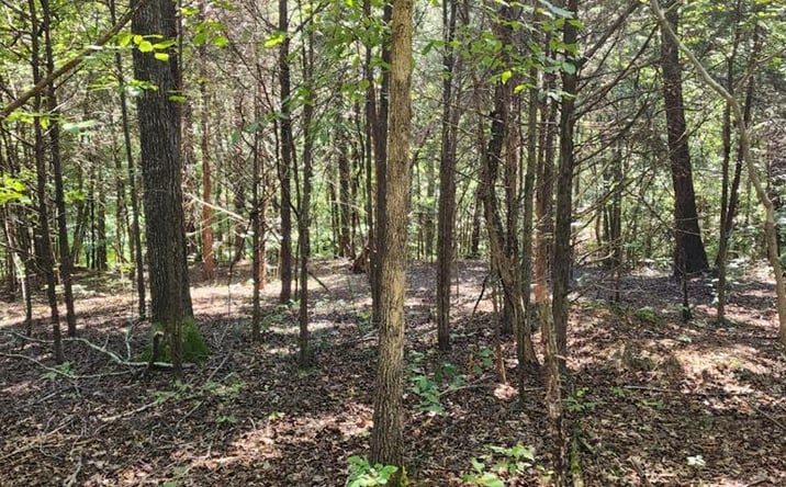 Pictures of Land property located at 000 Circle Dr, Big Sandy, TN 38221 for sales - image #1