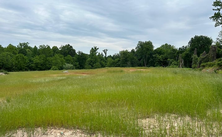 Pictures of Land, Multifamily property located at 0 Poplar St, Paris, TN 38242 for sales - image #1