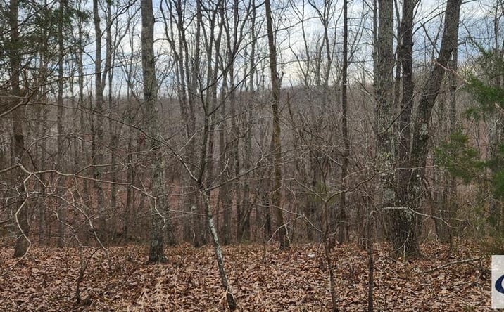 Pictures of Land property located at 00000 Birdsong Rd, Holladay, TN 38341 for sales - image #1