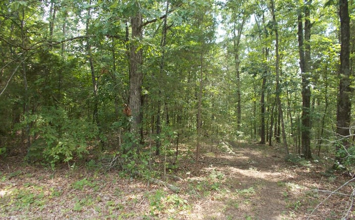 Pictures of Land property located at 0 Cypress Ck Dr Off Sales Landing Rd, Camden, TN 38320 for sales - image #1