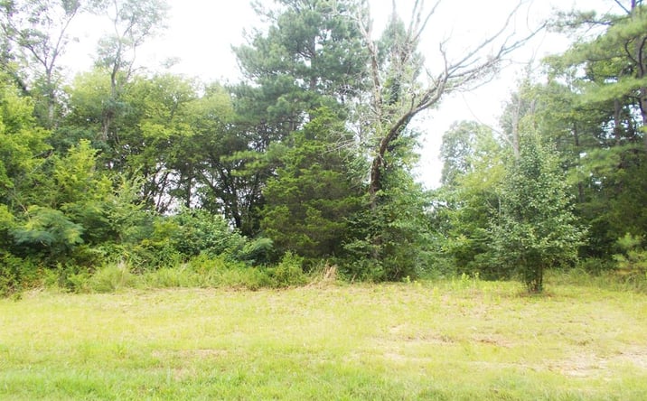 Pictures of Land, Multifamily property located at 0 Sand Pit Loop, Camden, TN 38320 for sales - image #1