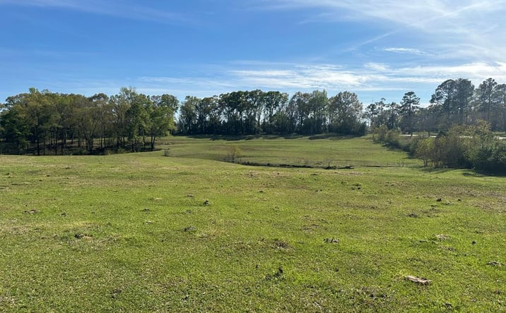 Pictures of Land property located at S Main St, Brundidge, AL 36010 for sales - image #1