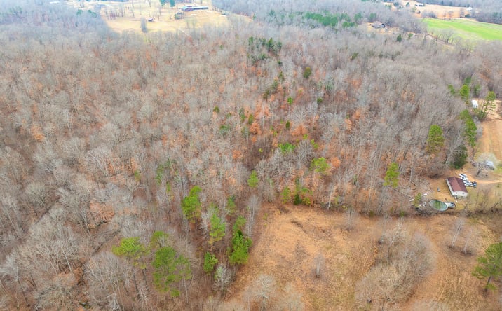 Pictures of Land property located at Sulphur Spring Road, Parsons, TN 38363 for sales - image #1