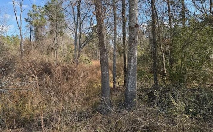 Pictures of Land property located at 00 OLD ADEL RD., Moultrie, GA 31768 for sales - image #1