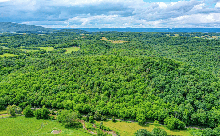 Pictures of Land, Multifamily property located at 4662 Cedar Springs Rd, Rural Retreat, VA 24368 for sales - image #1