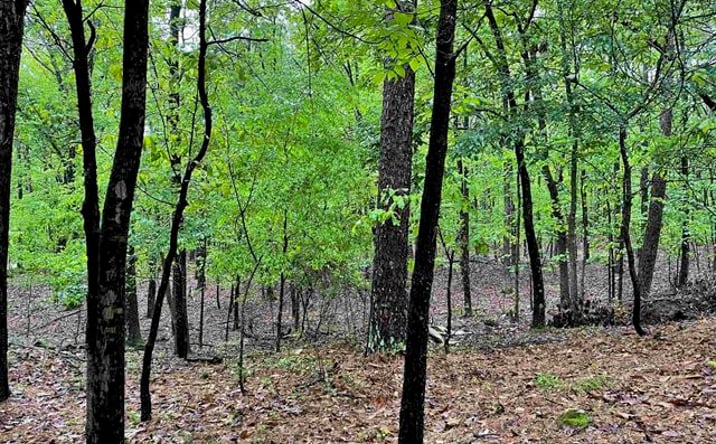 Pictures of Land property located at Charlon St, Hot Springs, AR 71913 for sales - image #1