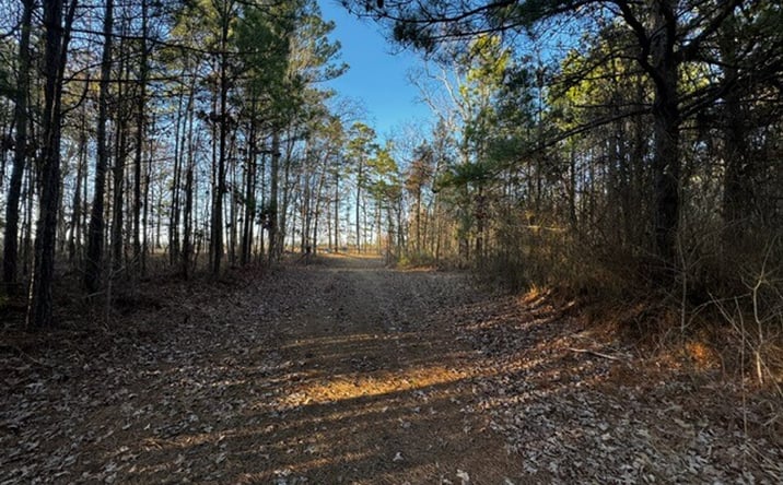 Pictures of Land property located at 1800 Chaney RD, Redfield, AR 72132 for sales - image #1