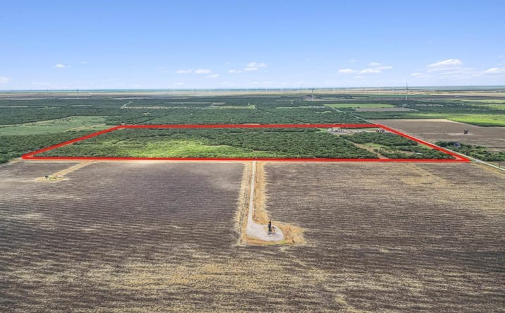 Pictures of Land property located at 0 Citation, Lyford, TX 78569 for sales - image #1