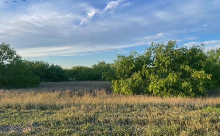 Pictures of Land property located at 0 Fm 1732, Olmito, TX 78520 for sales - image #1