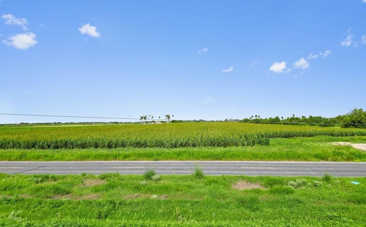 Pictures of Land property located at 33.84 Fm 506, Santa Rosa, TX 78593 for sales - image #1