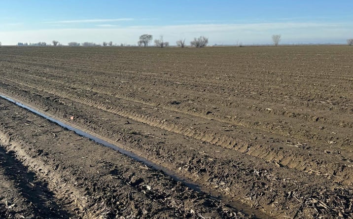 Pictures of Land property located at South Township Rd, Yuba City, CA 95991 for sales - image #1