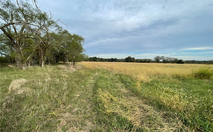 Pictures of Land property located at 343rd Hedge Lane, Paola, KS 66071 for sales - image #1