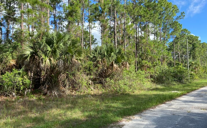 Pictures of Land property located at 2628 Port Smith Avenue SW, Palm Bay, FL 32908 for sales - image #1