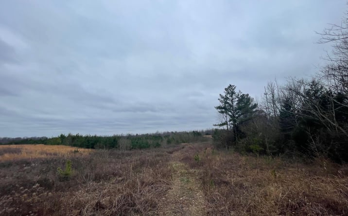 Pictures of Land, Industrial, Mixed Use, Multifamily, Retail property located at 0 Hwy 70 & Browns Church Road, Jackson, TN 38305 for sales - image #1