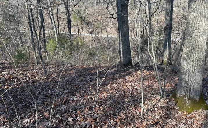 Pictures of Land property located at 000 Slabtown Road, Licking, PA 65542 for sales - image #1