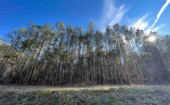Pictures of Land property located at Rock Fence Rd NW, Adairsville, GA 30103 for sales - image #1